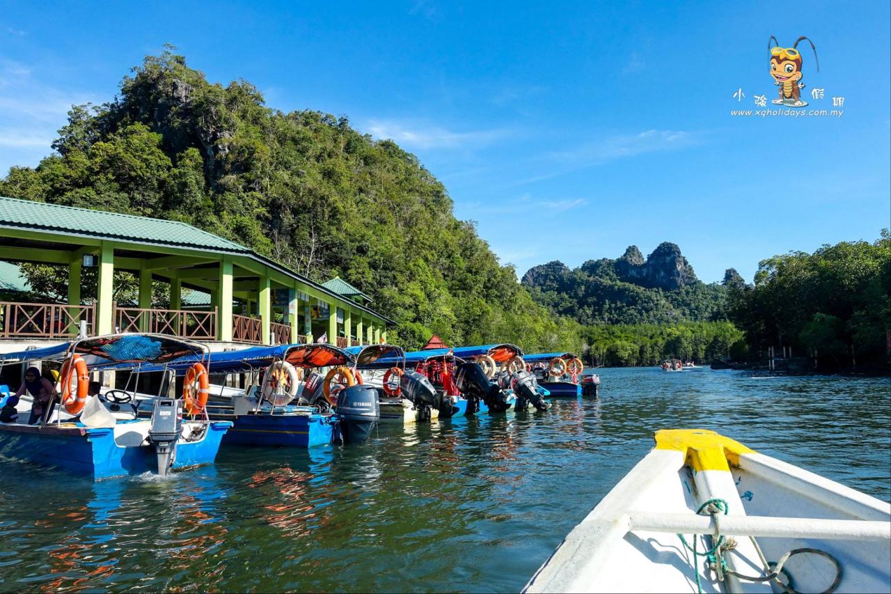 Jelajahi Hutan Mangrove Langkawi: Petualangan Ekosistem yang Memikat